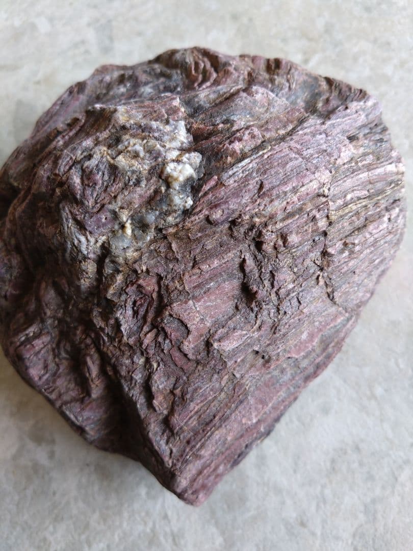 表情がいいね、石ころ♪㉓　石　石ころ　天然石　自然石　水石　鑑賞石　珪化木