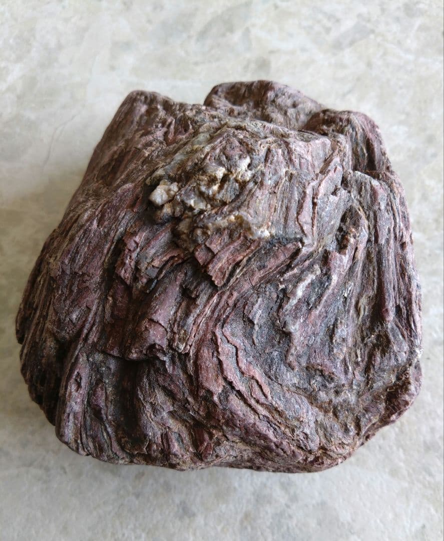 表情がいいね、石ころ♪㉓　石　石ころ　天然石　自然石　水石　鑑賞石　珪化木