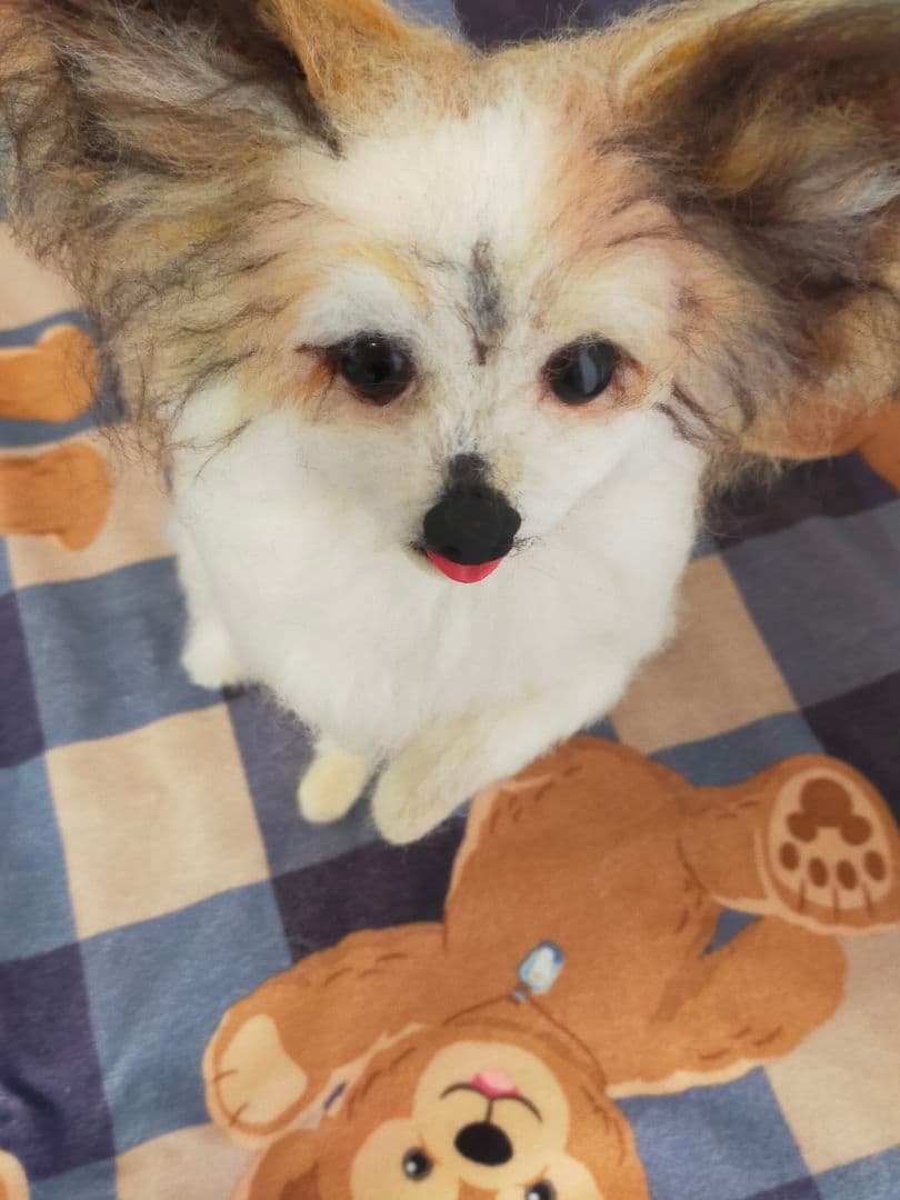 ぽっぽオーダー♡3ワンコちゃん♡