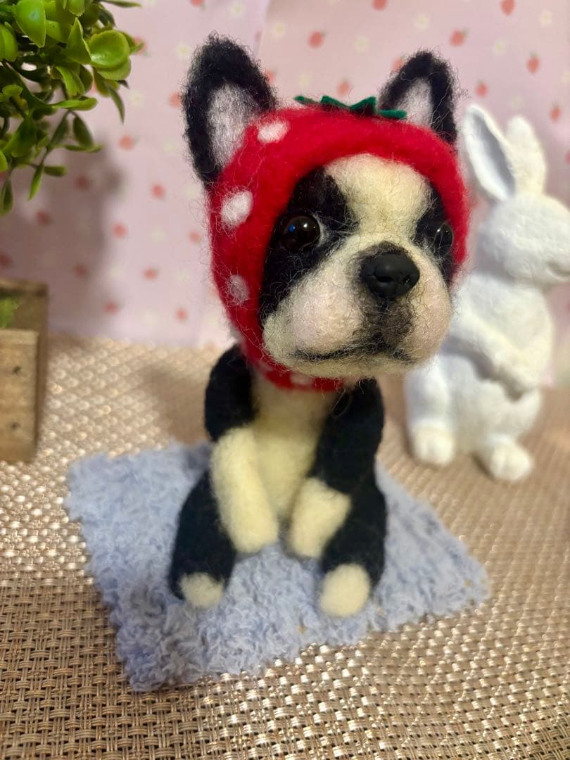 羊毛フェルト♡ボストンテリアちゃん♡苺の被り物♪(๑ᴖ◡ᴖ๑)♪