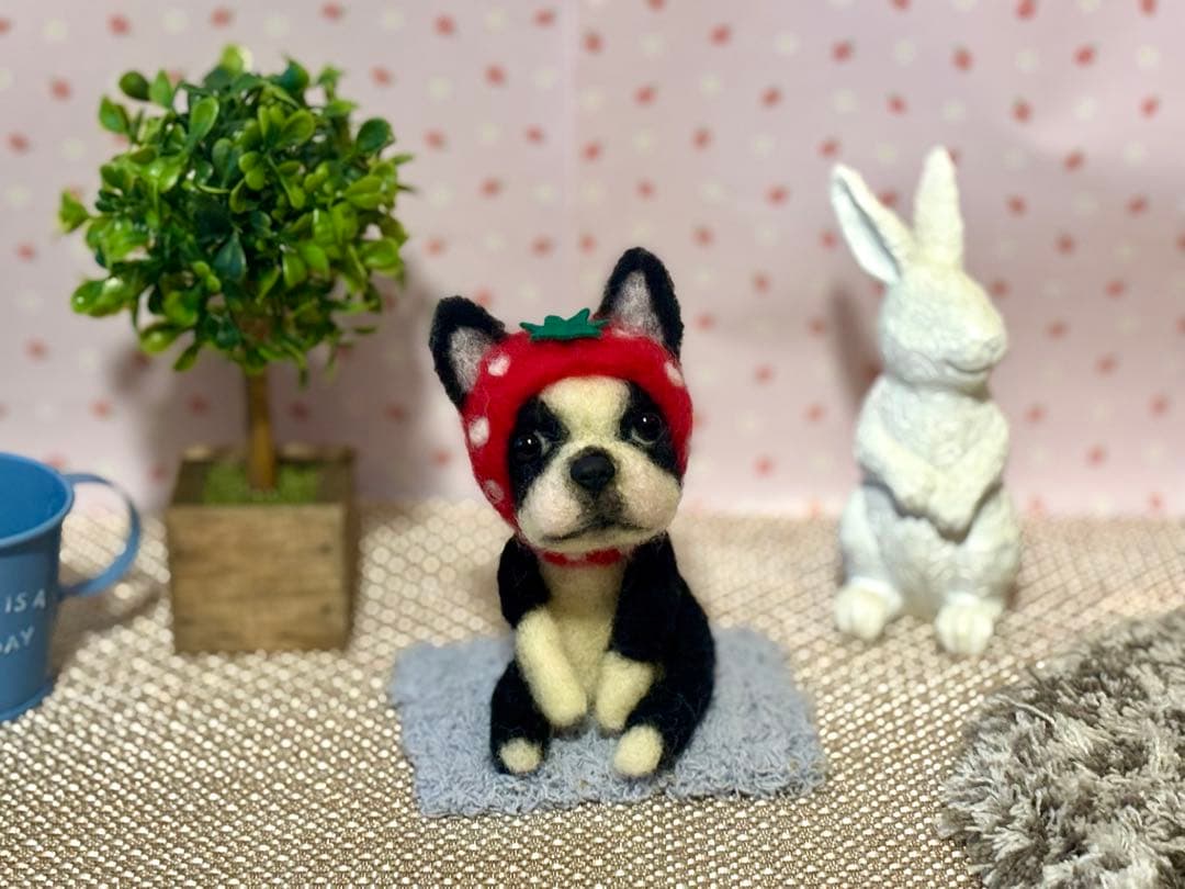 羊毛フェルト♡ボストンテリアちゃん♡苺の被り物♪(๑ᴖ◡ᴖ๑)♪