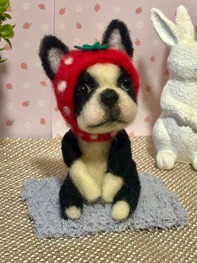 羊毛フェルト♡ボストンテリアちゃん♡苺の被り物♪(๑ᴖ◡ᴖ๑)♪