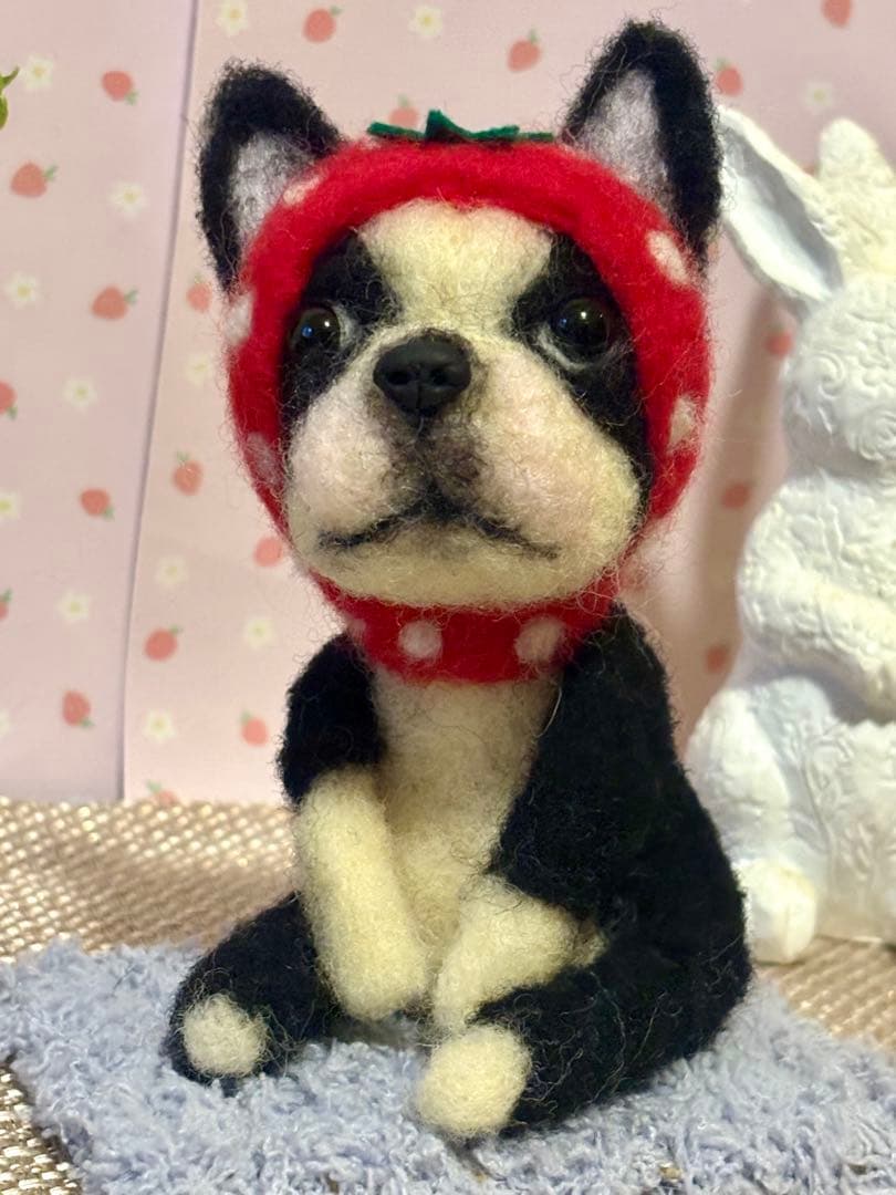 羊毛フェルト♡ボストンテリアちゃん♡苺の被り物♪(๑ᴖ◡ᴖ๑)♪