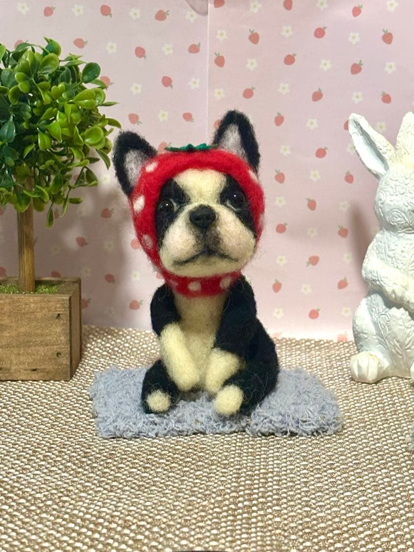 羊毛フェルト♡ボストンテリアちゃん♡苺の被り物♪(๑ᴖ◡ᴖ๑)♪