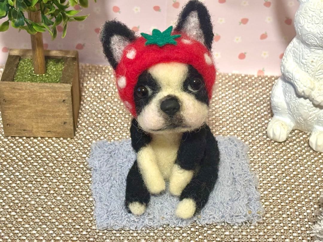 羊毛フェルト♡ボストンテリアちゃん♡苺の被り物♪(๑ᴖ◡ᴖ๑)♪
