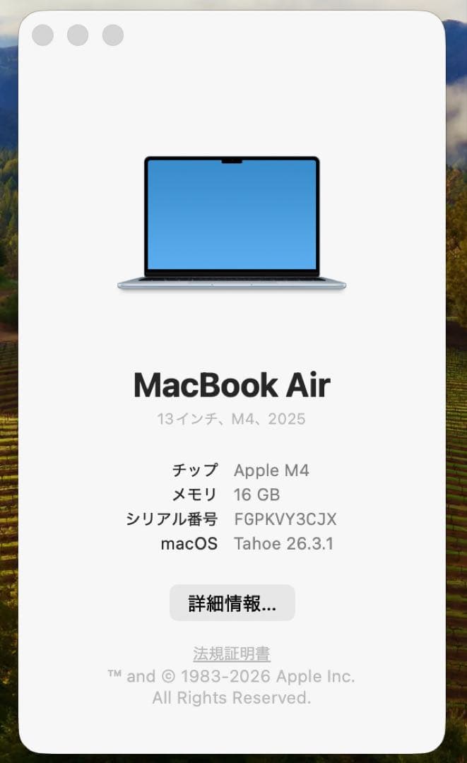 MacBook Air M4 13インチ 16GB 512GB BT99% 箱付