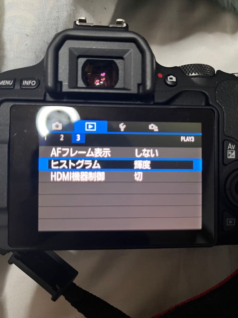 Canon EOS Rebel SL2 またはCanon EOS Kiss X9