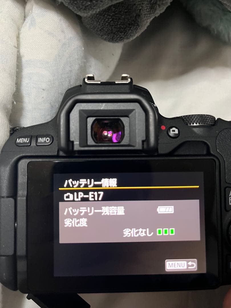 Canon EOS Rebel SL2 またはCanon EOS Kiss X9