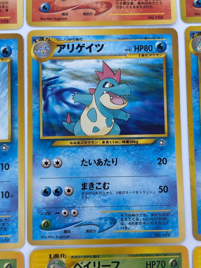 御三家　セット　メガニウム　バグフーン　オーダイル