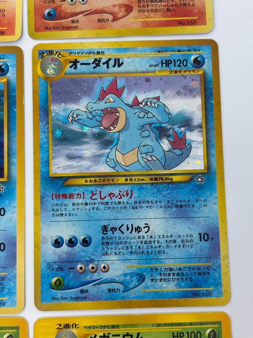 御三家　セット　メガニウム　バグフーン　オーダイル