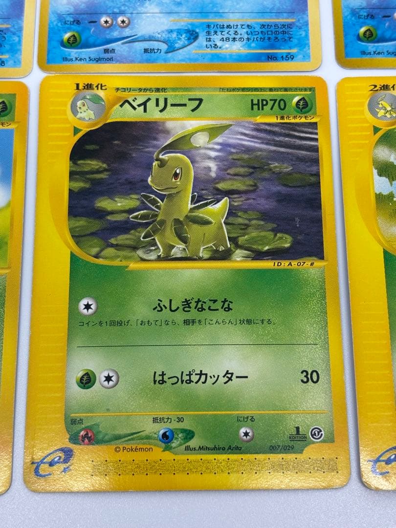 御三家　セット　メガニウム　バグフーン　オーダイル