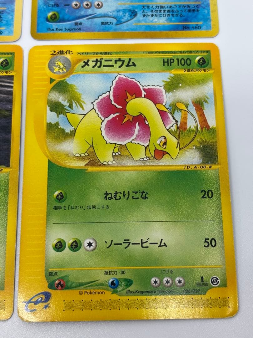 御三家　セット　メガニウム　バグフーン　オーダイル