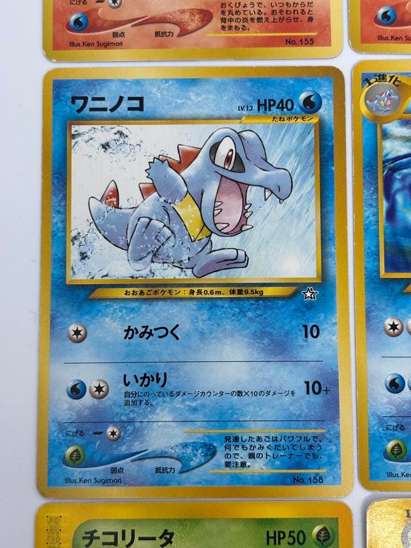 御三家　セット　メガニウム　バグフーン　オーダイル