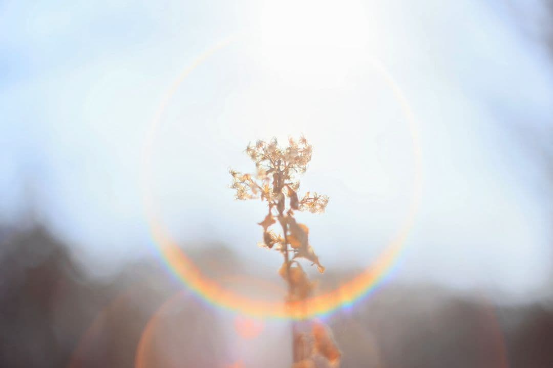 Super-Takumar 55mm F1.8 後期型 S/N：1546026