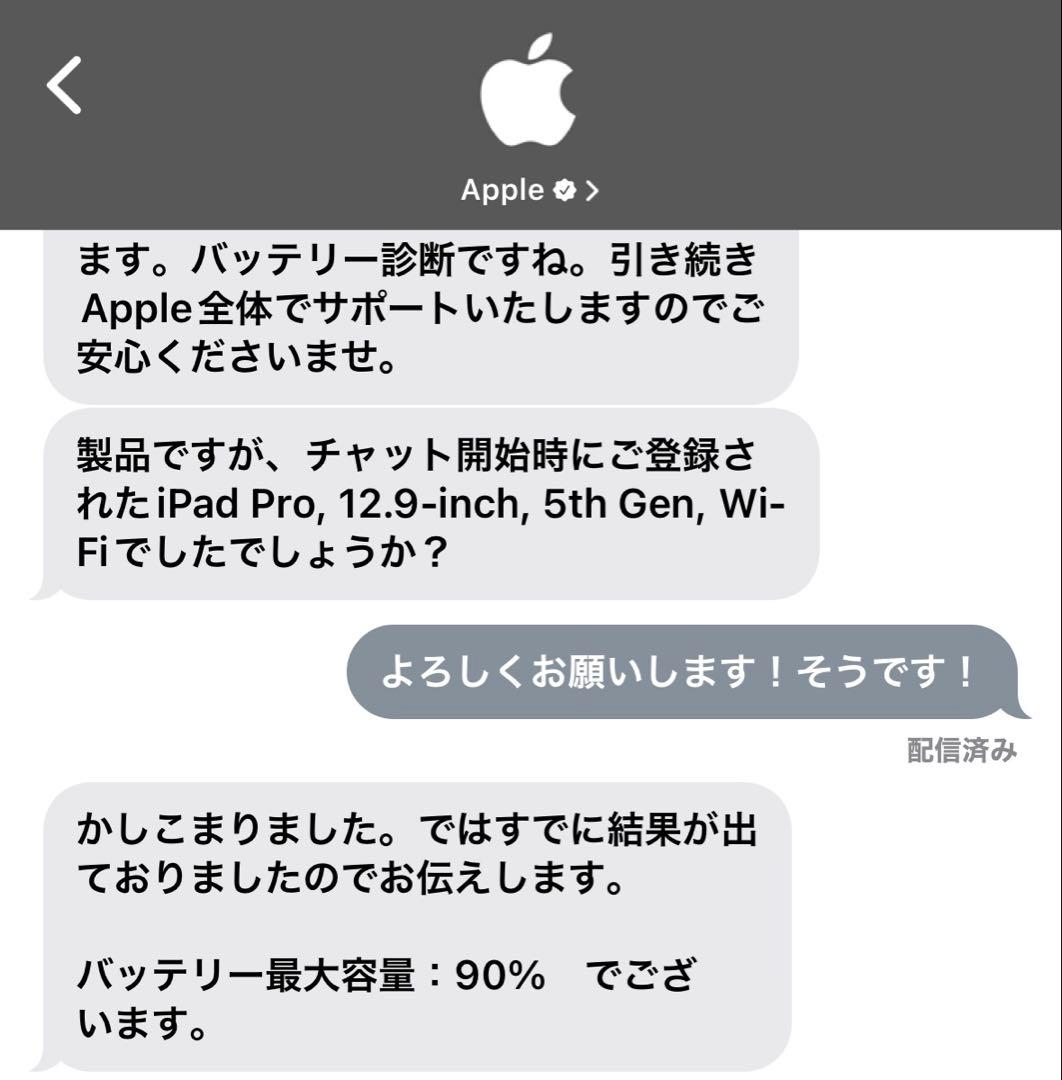 iPad Pro 12.9インチ (第5世代) M1 512GB
