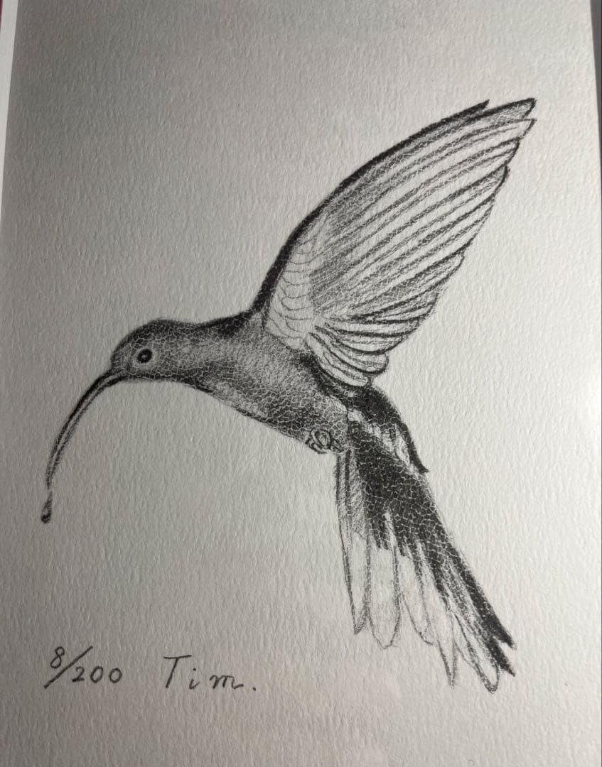 吉田照美　絵画展　サイン入り　カワセミ