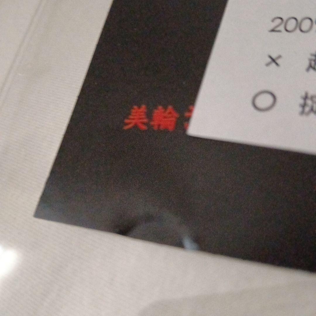 激レア ゴールデンボンバー 2008年非売品 DVD