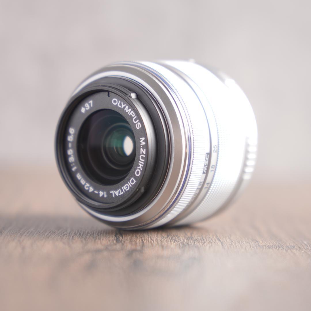 ✨ショット数1305回で新品級✨OLYMPUS PEN E-PL9　10324