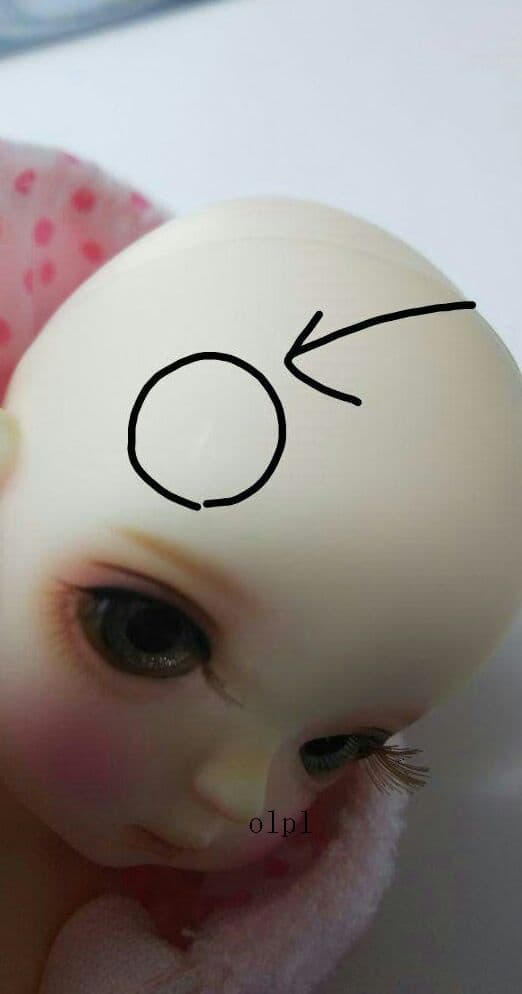 CHICA BONITA( BabyCircus：Chiko)フルセット+α