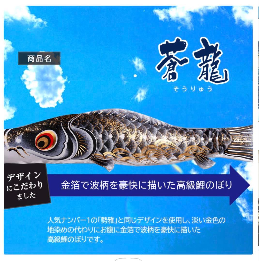 鯉のぼり 1.5m 蒼龍　金箔　ベランダ用　1.5メートル