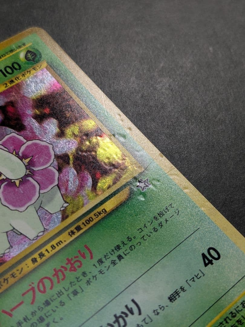 ポケモンカード 旧裏 御三家 オーダイル バクフーン メガニウム