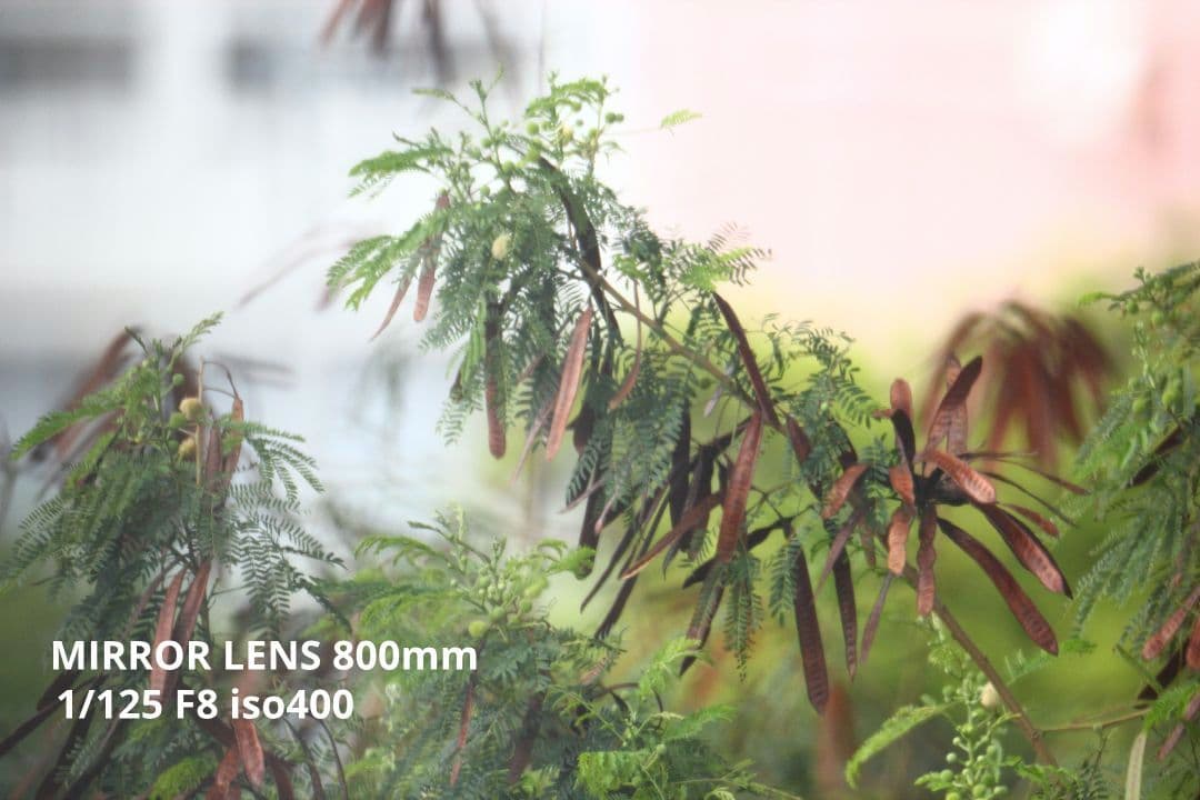 kenko ED LENZ 500mm&MIRROR LENZ 800mm 2本