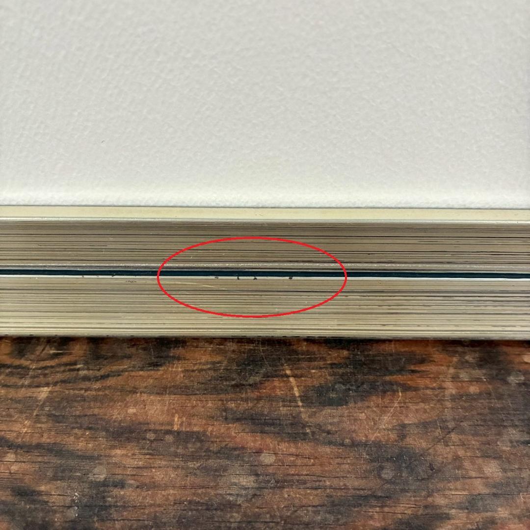 美品 ロバート・ハインデル「ドローイング フォー ダーシー・バッセル」ジクレー