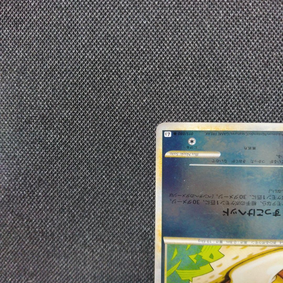 コダック レジェンド ミラー