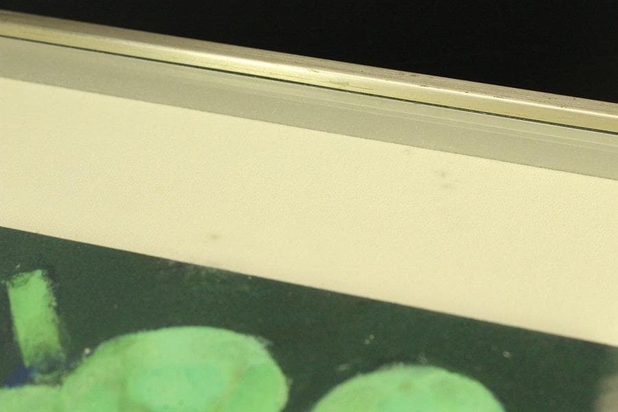 池田道夫 作「マスカット」シール 保証(ZE817)