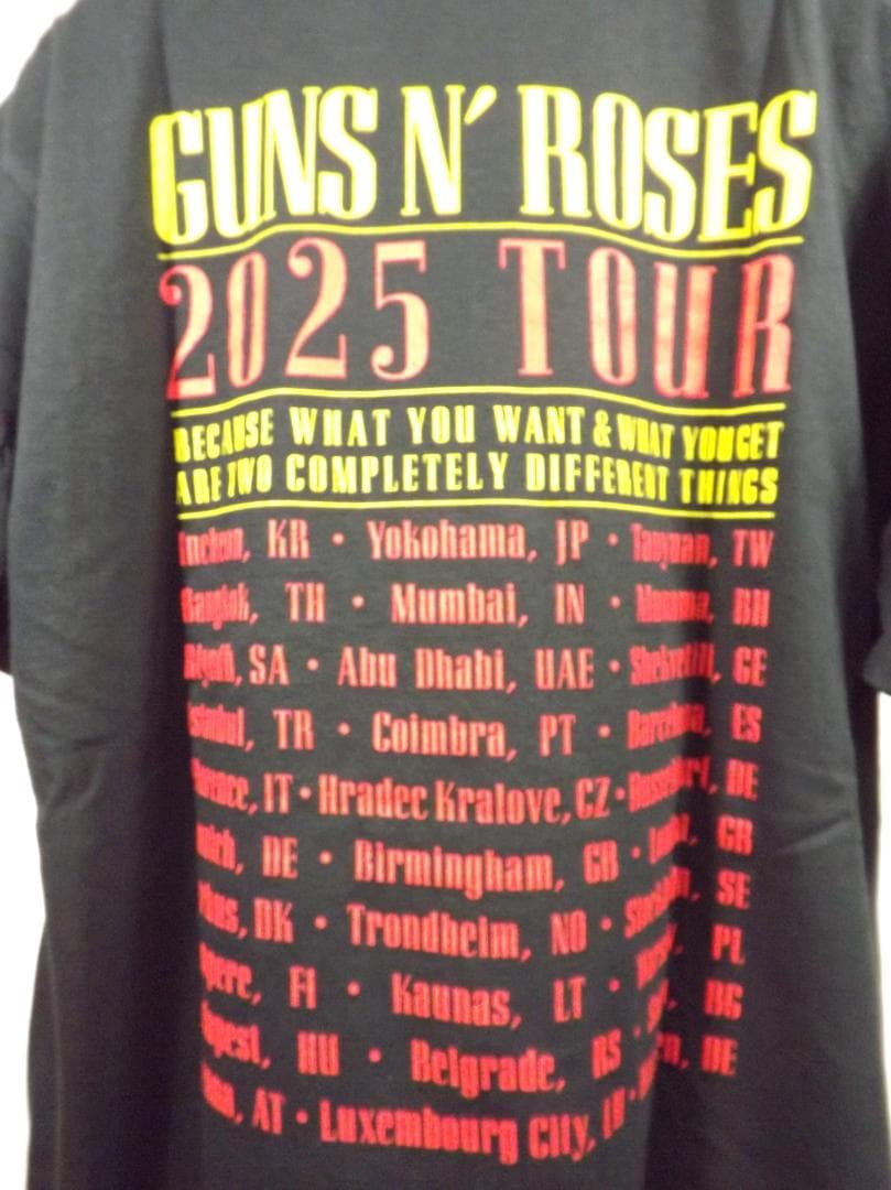 L 新品 GUNS N' ROSES (ガンズ) 2025 Admat Tシャツ