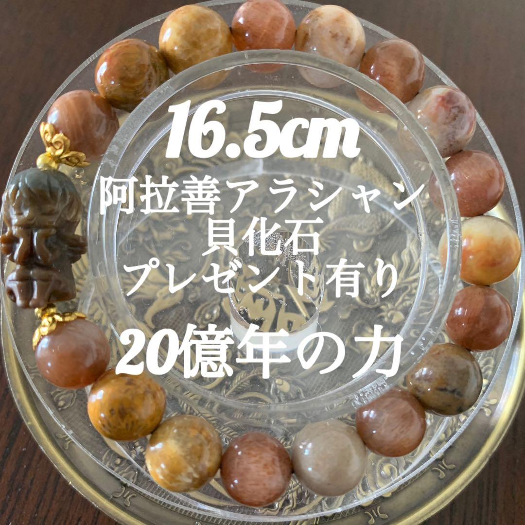 阿拉善天使ブレスレット