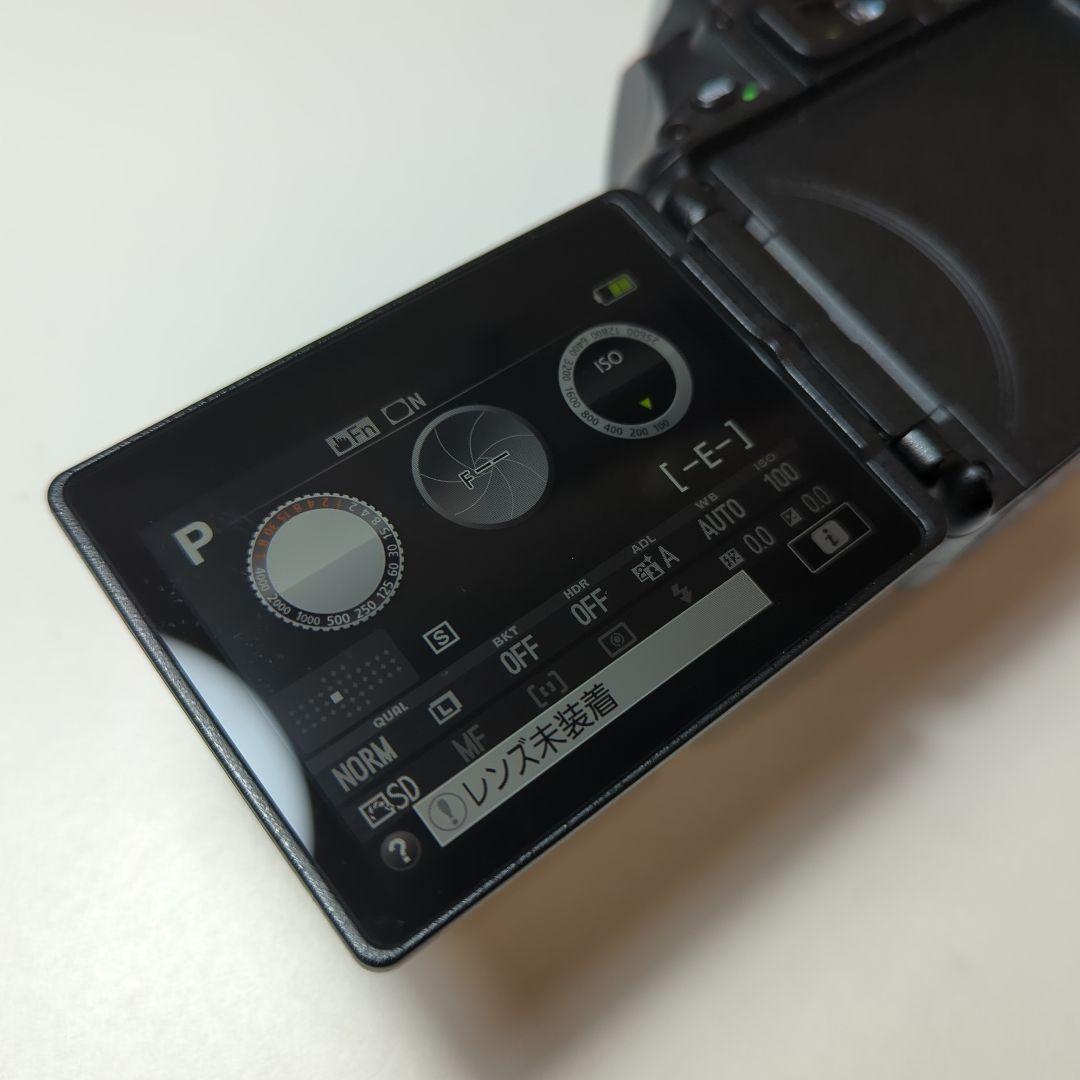 Nikon D5500 デジタル一眼レフカメラ　シャッターカウント8.963枚