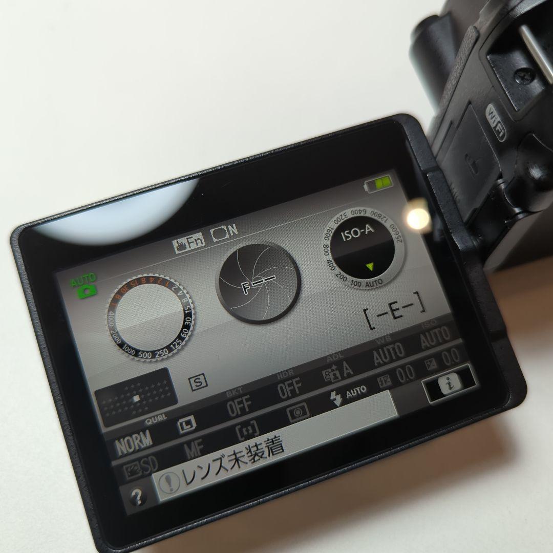 Nikon D5500 デジタル一眼レフカメラ　シャッターカウント8.963枚