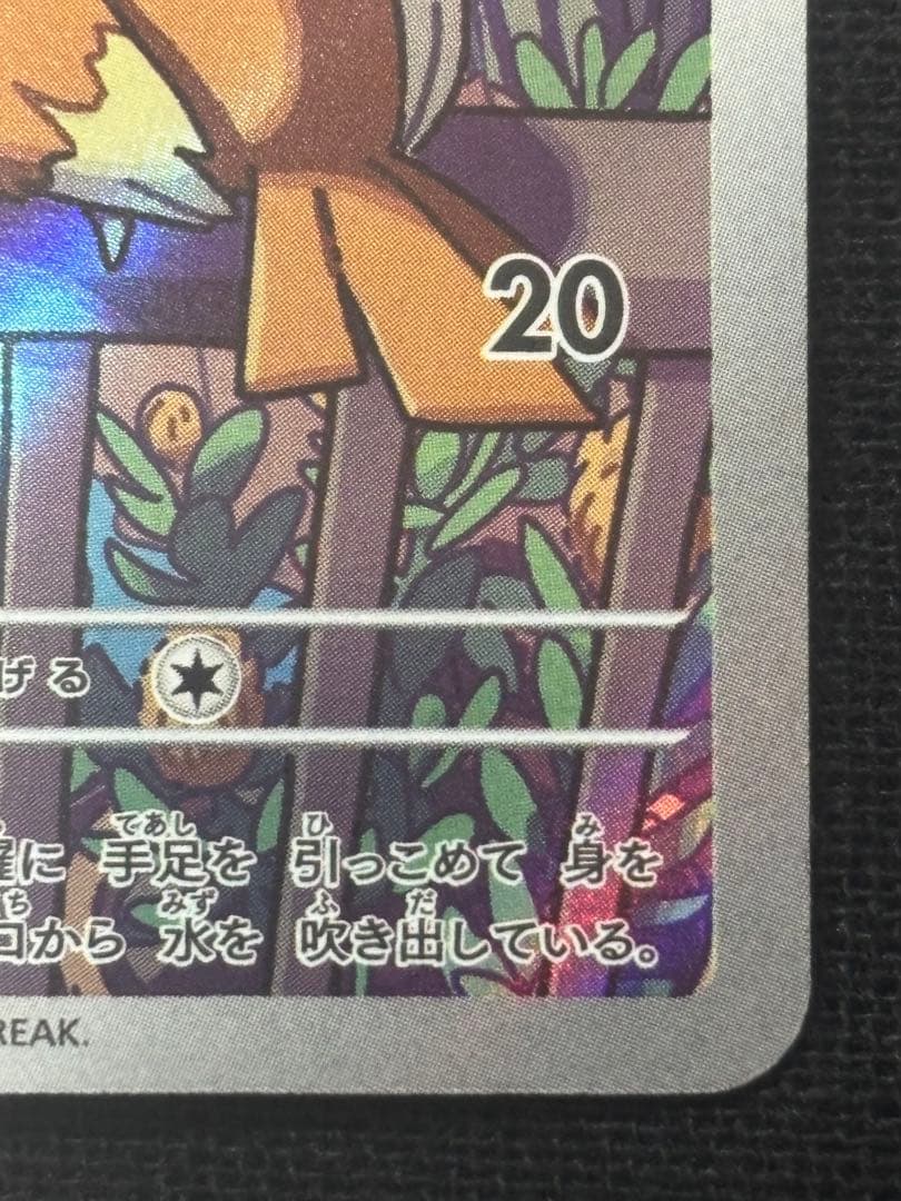 ゼニガメAR フシギダネAR スペシャルデッキセットex プロモ