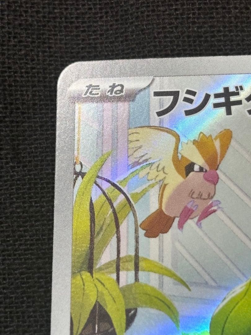 ゼニガメAR フシギダネAR スペシャルデッキセットex プロモ