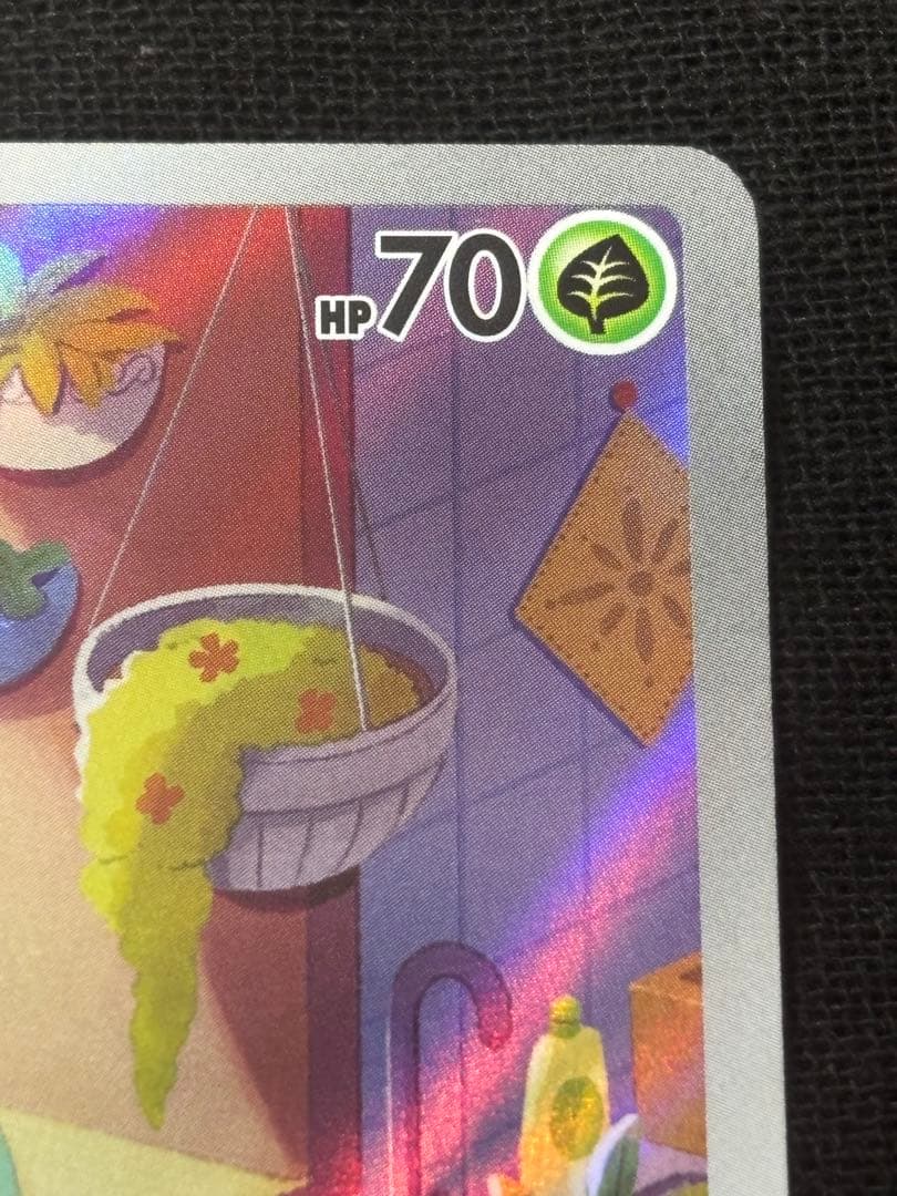 ゼニガメAR フシギダネAR スペシャルデッキセットex プロモ