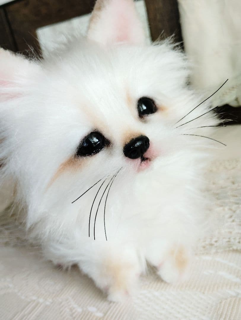 白子ぎつねちゃん♡狐♡美人さん♡アートドール♡ぬいぐるみ♡