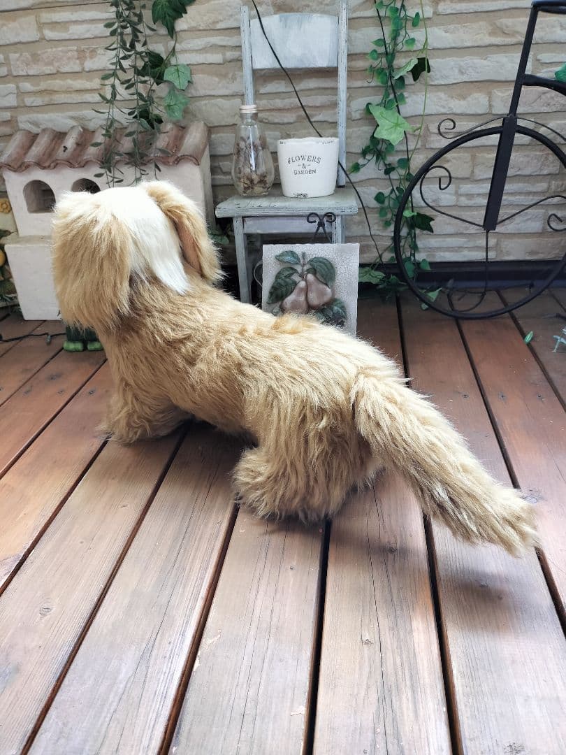 実寸大　ミニチュアダックス　レッド