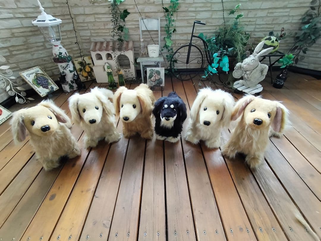 実寸大　ミニチュアダックス　レッド