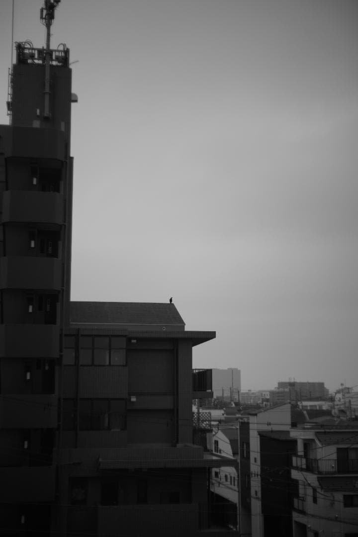 Summitar 50mm f2 戦前最初期コーティングあり 山崎磨き？軍事用？