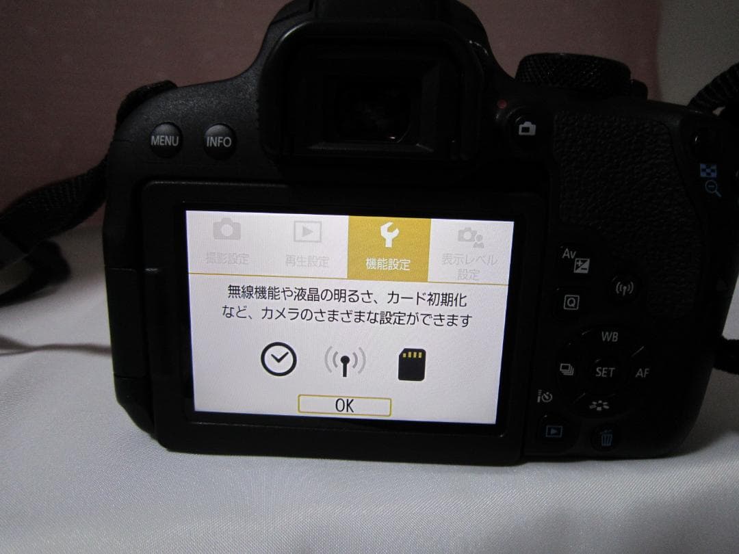 〓美品〓キヤノン Canon EOS KISS X9i デジタル一眼レフカメラ