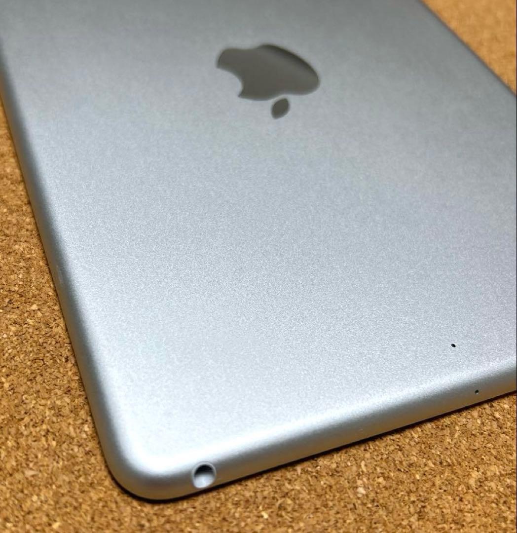 iPad mini5 第5世代 64GB (40) 91%