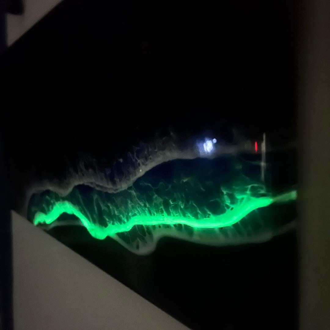 【レジンアート】モノクローム／夜光虫／蓄光／ワイドパネル 60cm × 28cm