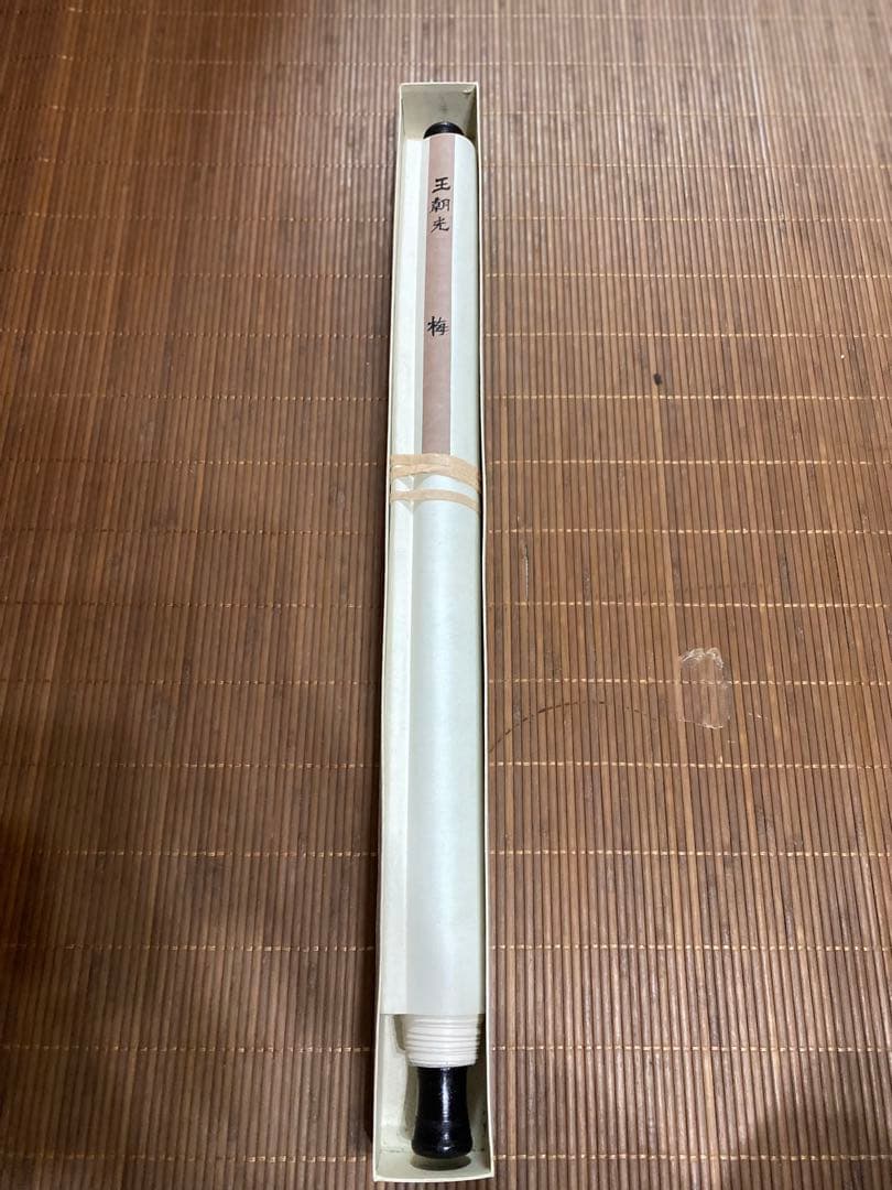 王朝光 梅図 掛軸 肉筆 直筆サイン 落款 共箱付 紅梅 水墨画 床の間