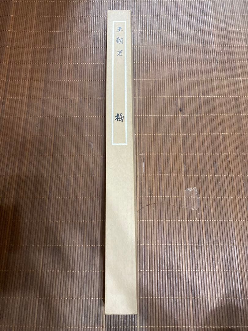 王朝光 梅図 掛軸 肉筆 直筆サイン 落款 共箱付 紅梅 水墨画 床の間