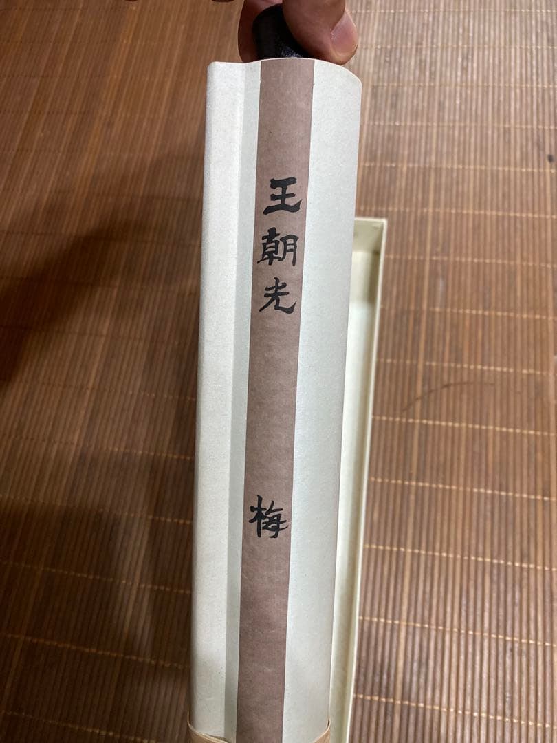 王朝光 梅図 掛軸 肉筆 直筆サイン 落款 共箱付 紅梅 水墨画 床の間