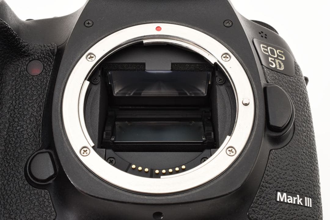 Canon EOS 5D mark III標準&望遠ダブルレンズセット