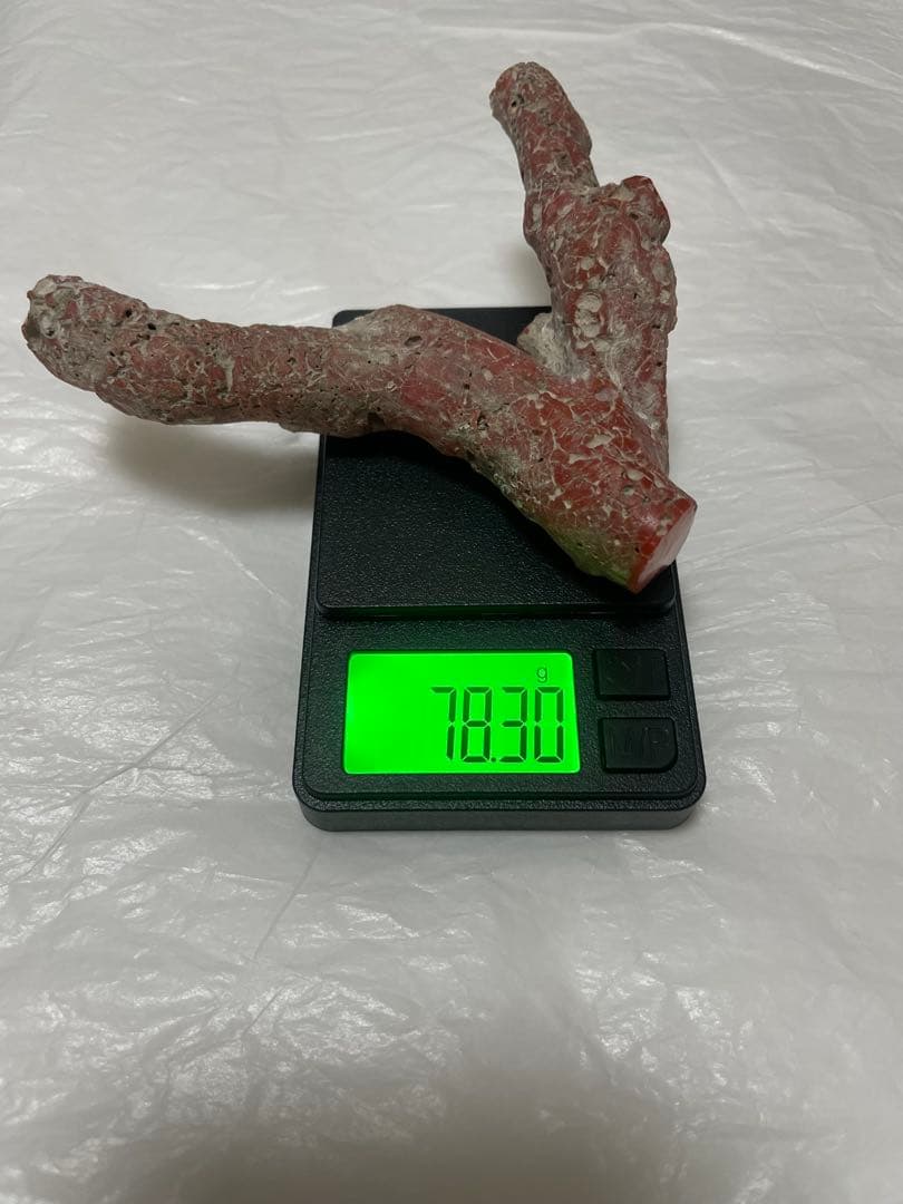 赤珊瑚原木の置物