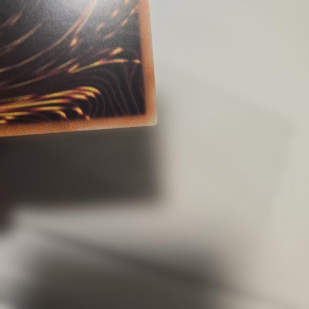 誇りと魂の竜　25th アジア　打痕 lnfo-jp000