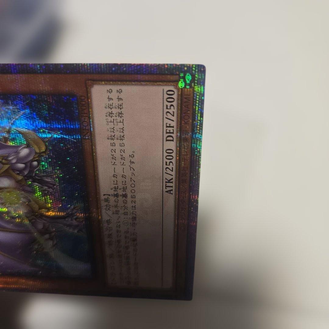 誇りと魂の竜　25th アジア　打痕 lnfo-jp000